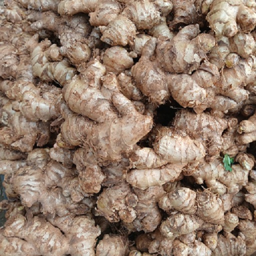 Organic Ginger